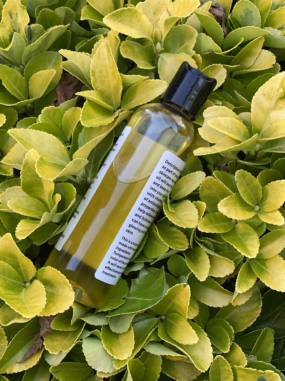 Dew Love Body Oil, 4 oz